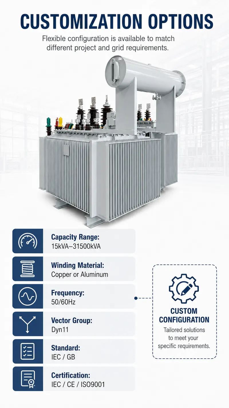 1000kVA 6.6kV/415V Low-Loss Three-Phase Oil-Immersed Distribution Transformer — customisation options